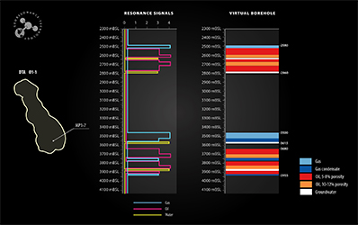 Virtual Borehole of oil deposit